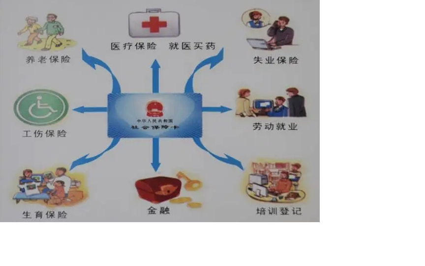 劳动与社会保障专业